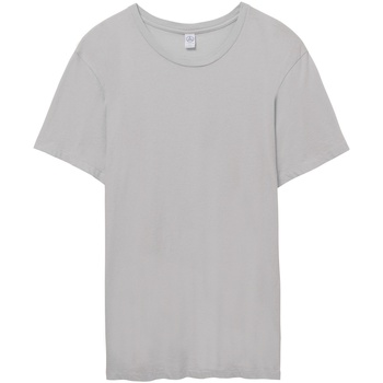 Kleidung Herren T-Shirts Alternative Apparel AT015 Grau