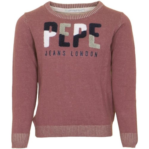 Kleidung Jungen Sweatshirts Pepe jeans  Rosa
