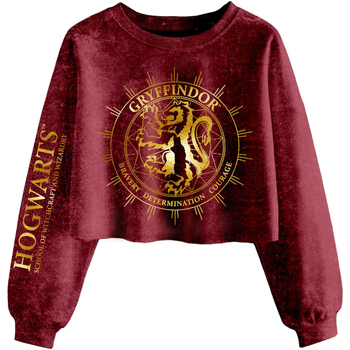Kleidung Damen Sweatshirts Harry Potter  Multicolor