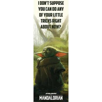 Home Plakate / Posters Star Wars: The Mandalorian TA8162 Rot