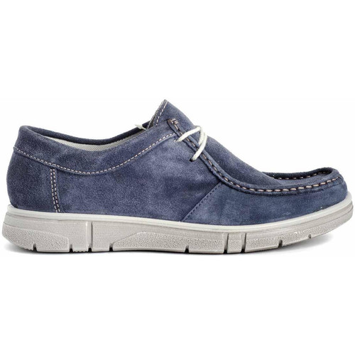 Schuhe Herren Derby-Schuhe & Richelieu Imac 151600 Blau