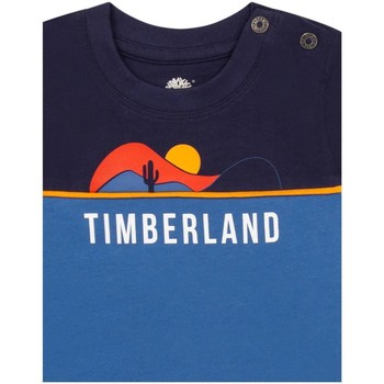 Timberland  Blau