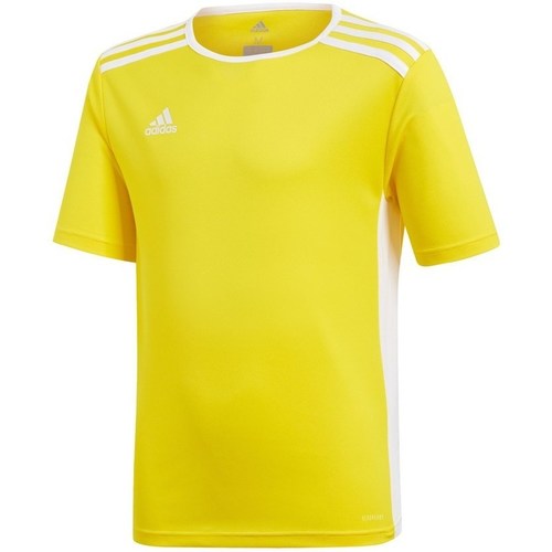 Kleidung Jungen T-Shirts adidas Originals JR Entrada 18 Gelb