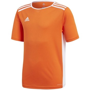Kleidung Jungen T-Shirts adidas Originals Entrada 18 Orange
