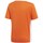 Kleidung Jungen T-Shirts adidas Originals Entrada 18 Orange