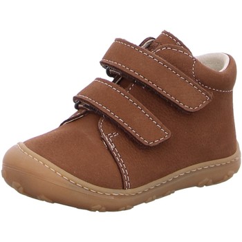 Schuhe Jungen Babyschuhe Ricosta Klettschuhe CHRISY W 50 1200303/260 Braun