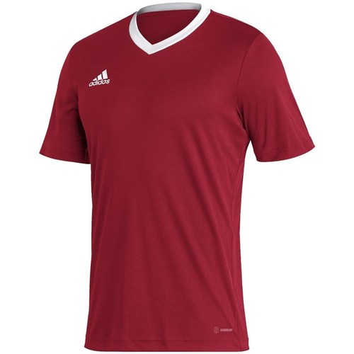 Kleidung Herren T-Shirts adidas Originals Entrada 22 Rot