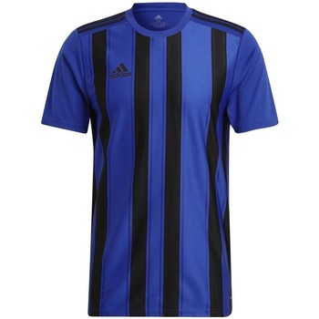 Kleidung Herren T-Shirts adidas Originals Striped 21 Blau, Schwarz