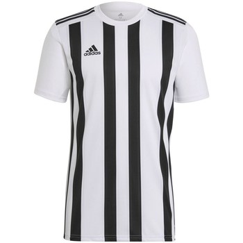 Kleidung Herren T-Shirts adidas Originals Striped 21 Schwarz, Weiß