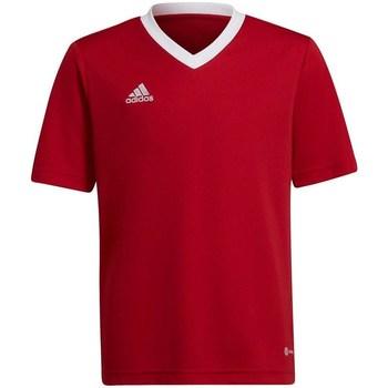 Kleidung Jungen T-Shirts adidas Originals Entrada 22 Jsy Rot