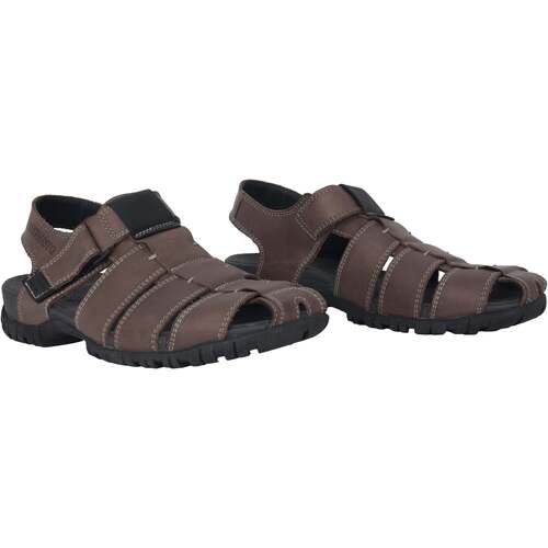 Mephisto Basile Grau