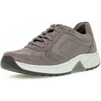 Schuhe Herren Sneaker Low Pius Gabor 8002.10.03 Grau