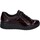 Schuhe Damen Derby-Schuhe & Richelieu Westland Calais 22, bordo Rot