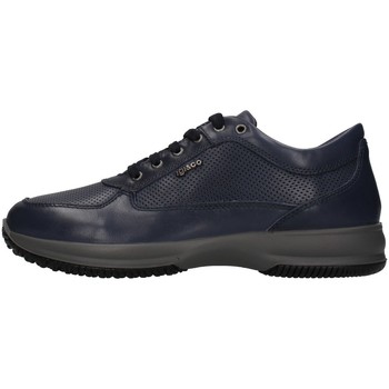 Schuhe Herren Sneaker Low IgI&CO 1614011 Blau