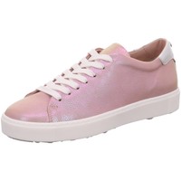 Schuhe Damen Sneaker Marc Cain - Marccain JB SH.33 L39 rosa