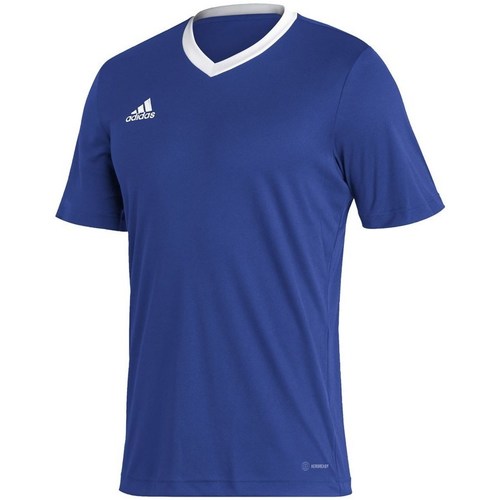 Kleidung Herren T-Shirts adidas Originals Entrada 22 Blau