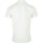 Kleidung Herren T-Shirts & Poloshirts Tommy Hilfiger Solid Graphic Polo Weiss