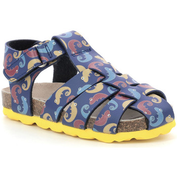 Schuhe Jungen Sandalen / Sandaletten Mod'8 Kourios Blau