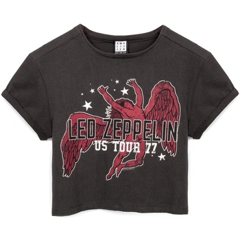 Kleidung Damen Langarmshirts Amplified  Grau