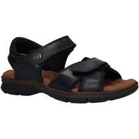 Schuhe Herren Sandalen / Sandaletten Panama Jack SANDERS C14 SANDERS C14 