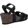 Schuhe Damen Sandalen / Sandaletten Panama Jack VALENTINE BASICS B800 VALENTINE BASICS B800 
