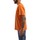 Kleidung Herren T-Shirts Dickies DK0A4XNYC381 Orange