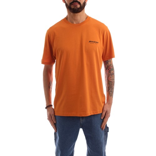Kleidung Herren T-Shirts Dickies DK0A4XNYC381 Orange