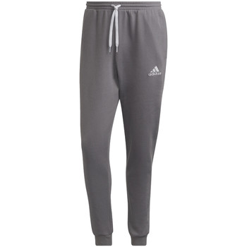 Kleidung Herren Jogginghosen adidas Originals adidas Entrada 22 Sweat Pants Grau