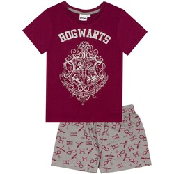 Kleidung Mädchen Pyjamas/ Nachthemden Harry Potter  Multicolor