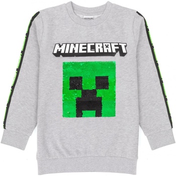 Kleidung Kinder Sweatshirts Minecraft  Grau