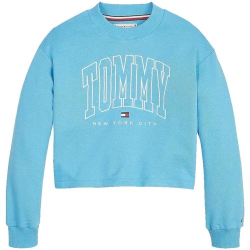 Kleidung Mädchen Sweatshirts Tommy Hilfiger  Blau