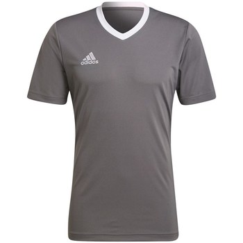 Kleidung Herren T-Shirts adidas Originals Entrada 22 Grau
