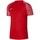 Kleidung Herren T-Shirts Nike Drifit Academy Rot