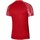 Kleidung Herren T-Shirts Nike Drifit Academy Rot