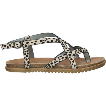 Schuhe Damen Sandalen / Sandaletten Blowfish Malibu Zehensteg Leopard