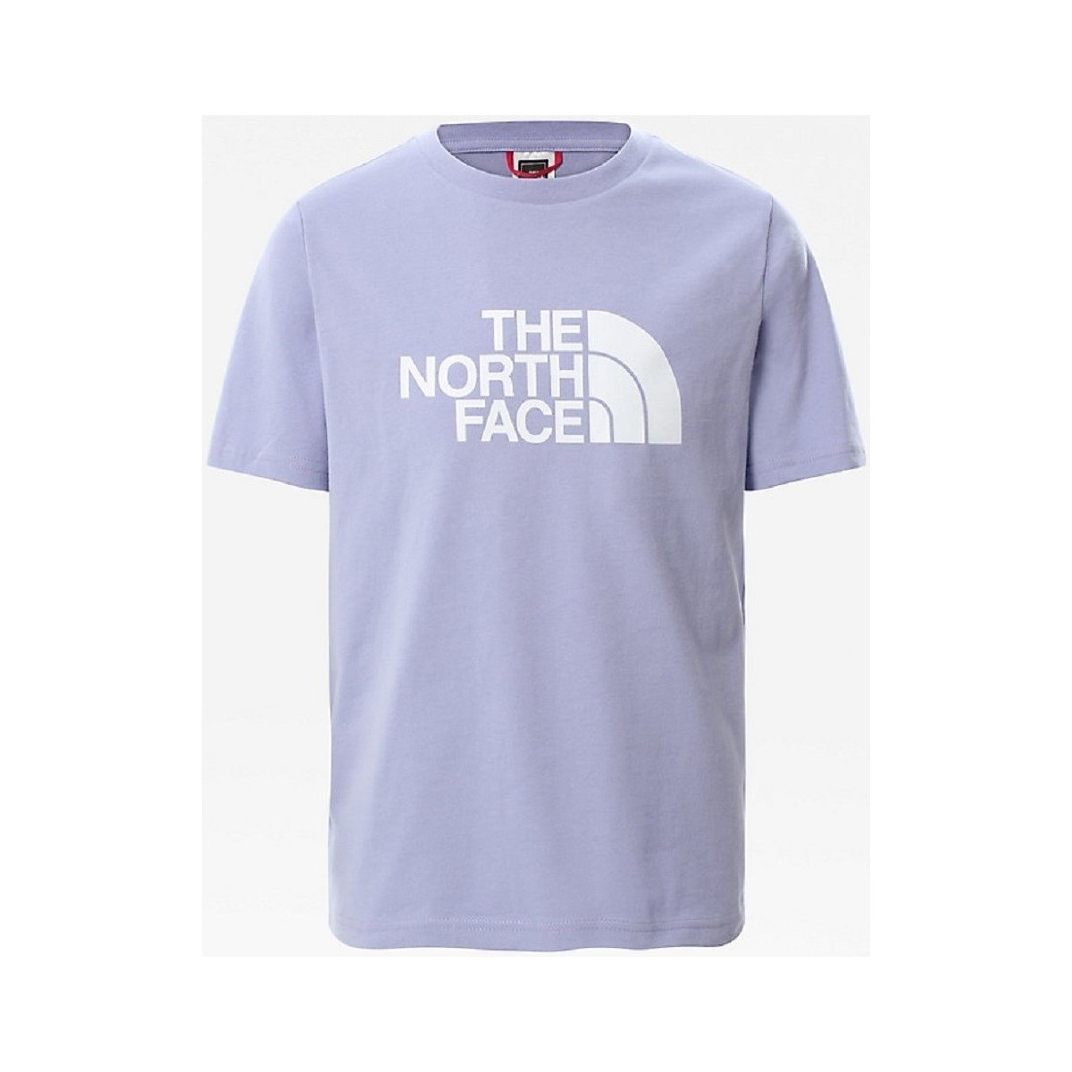 Kleidung Mädchen T-Shirts The North Face CAMISETA UNISEX JUNIOR  NF0A55DB Other