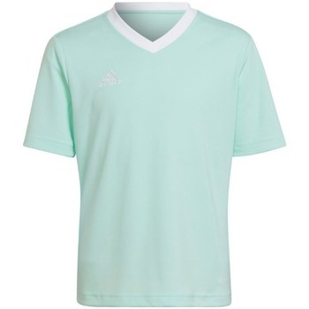 Kleidung Jungen T-Shirts adidas Originals Entrada 22 Türkisfarbig