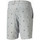 Kleidung Herren Shorts / Bermudas Puma 599239-03 Grau