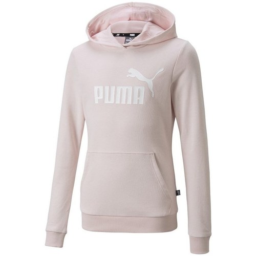 Kleidung Mädchen Sweatshirts Puma 58703016 Rosa