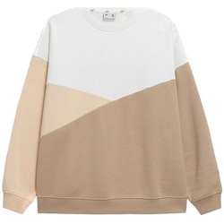 Kleidung Damen Sweatshirts 4F BLD013 Weiß, Braun
