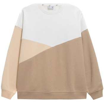 Kleidung Damen Sweatshirts 4F BLD013 Braun, Weiß