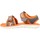 Schuhe Jungen Zehensandalen Clarks SURFING TIDE T Orange