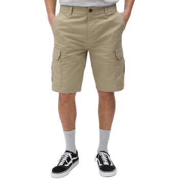 Kleidung Herren Shorts / Bermudas Dickies DK0A4XED Beige