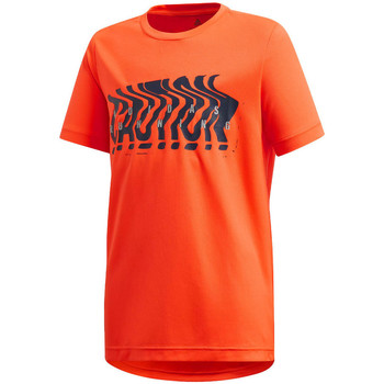 Kleidung Jungen T-Shirts & Poloshirts adidas Originals FM1703 Orange