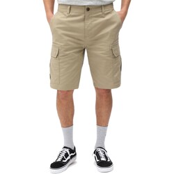 Kleidung Herren Shorts / Bermudas Dickies DK0A4XEDKHK1 Grün