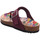 Schuhe Damen Pantoletten / Clogs Andrea Conti Pantoletten 2333619-117 Violett