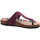 Schuhe Damen Pantoletten / Clogs Andrea Conti Pantoletten 2333619-117 Violett