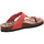 Schuhe Damen Pantoletten / Clogs Andrea Conti Pantoletten 2333619-084 Orange