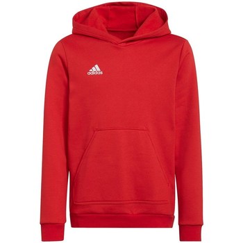 Kleidung Mädchen Sweatshirts adidas Originals Entrada 22 Rot