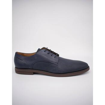 Schuhe Herren Derby-Schuhe & Richelieu Stonefly  Blau